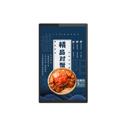 产品名称九